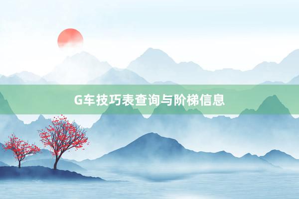 G车技巧表查询与阶梯信息