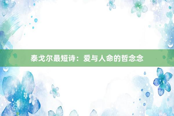 泰戈尔最短诗：爱与人命的哲念念