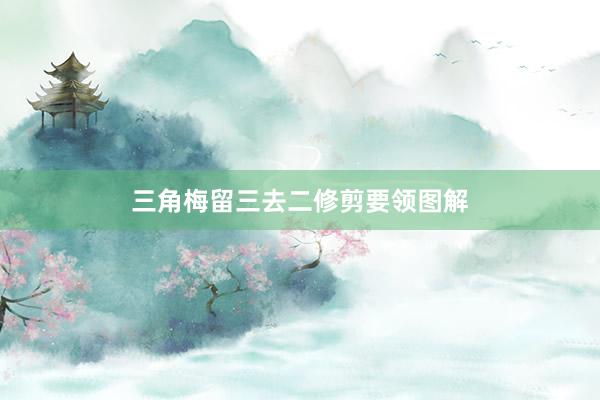 三角梅留三去二修剪要领图解