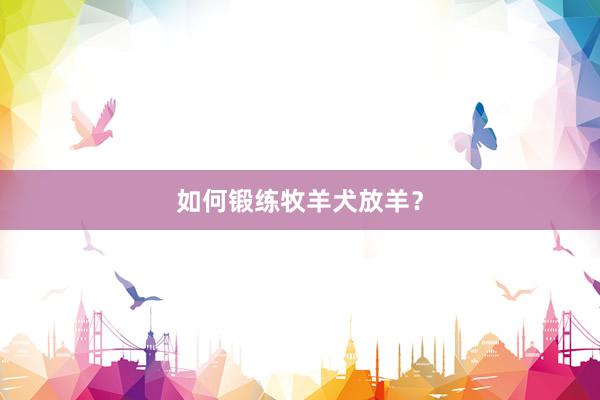 如何锻练牧羊犬放羊？